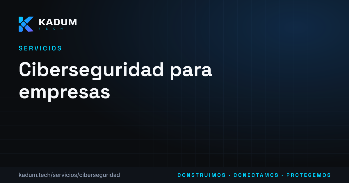 Ciberseguridad